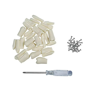 32pcs / সেট ডেন্টাল টাইপোডন্ট প্রতিস্থাপন দাঁত ডেন্টাল ছাত্র অনুশীলন সরঞ্জাম কঠোরতা রজন দাঁত