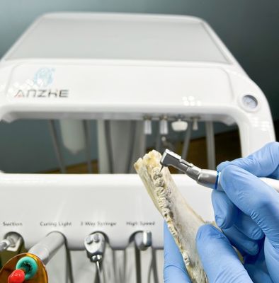 দাঁত কারখানা বায়ু সংকোচকারী 220V সঙ্গে পোষা দাঁত থেরাপি সরঞ্জাম ইইউ স্ট্যান্ডার্ড ভেট পোর্টেবল দাঁত ইউনিট