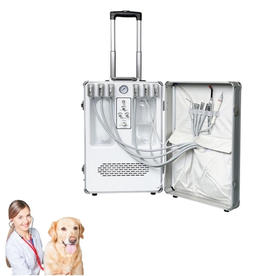হ্যান্ড হেল্ড ভেট ডেন্টাল সরঞ্জাম পোষা প্রাণীর দাঁতের চিকিৎসা স্যুটকেস পশু দাঁতের যত্ন ভেটেরিনারি মোবাইল ডেন্টাল ট্রিটমেন্ট ইউনিট