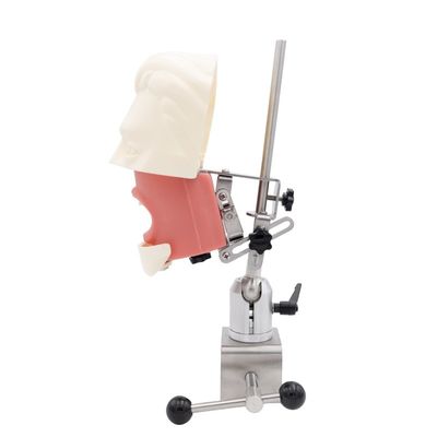 দন্তচিকিৎসা সিমুলেটর শিক্ষা ইউনিট ডেন্টাল স্কুল সিমুলেশন অনুশীলন সিস্টেম ডেন্টাল ইমপ্লান্ট ফ্যান্টম হেড