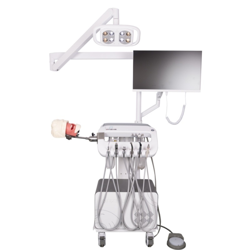 দন্ত্য অ্যানেস্থেশিয়া নিষ্কাশন মডেল ডেন্টাল স্কুল অ্যানেস্থেশিয়া ইনজেকশন প্রশিক্ষণ মডেল ওরাল অ্যানেস্থেশিয়া সিমুলেটর সিস্টেম