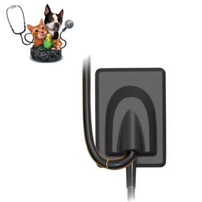 ভালো দাম ভেটেরিনারি ডেন্টাল সরঞ্জাম ডিজিটাল এক্স-রে ইমেজিং সিস্টেম পোষা প্রাণীর দাঁতের এক্স-রে সেন্সর আরভিজি অনলাইন