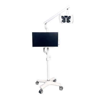 ভালো দাম 4 ইউনিভার্সাল হুইলস ঠান্ডা হালকা দাঁত সাদা করার সিস্টেম প্রজাপতি আকৃতির দাঁত সাদা করার সরঞ্জাম অনলাইন