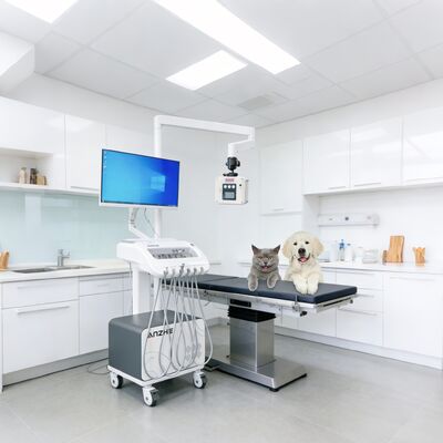 ভালো দাম এক্স-রে এবং পিসি মোবাইল ডেন্টাল কার্ট সহ বায়ু সংকোচকারী স্তন্যপান সিস্টেমের সাথে পোর্টেবল ডেন্টাল থেরাপি ইউনিট ক্লিনিক এবং আউটরিচ ব্যবহারের জন্য ডেন্টাল ডেলিভারি ইউনিট অনলাইন