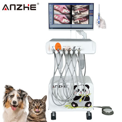 Factory Direct Portable Veterinary Dental Unit with HD Oral Camera and 23.8 Inch Touchscreen All In One Computer Built In Air Compressor Scaler Curing Light for Animal Dental Clinics