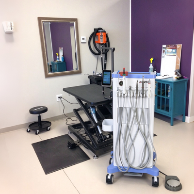 550W Portable Veterinary Dental Unit with 0.8Mpa Pressure and 38DB Noise Veterinary Dental Cart